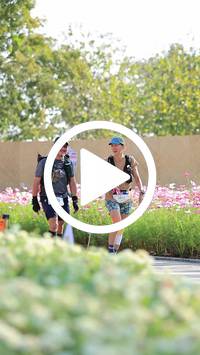 BIB:  <button type="button" onclick="openModal(27583949)" class="btn btn-primary btn-sm float-right" data-toggle="modal" data-target=".modal-high-quality">
                <i class="fa fa-download"></i> Download
                </button>